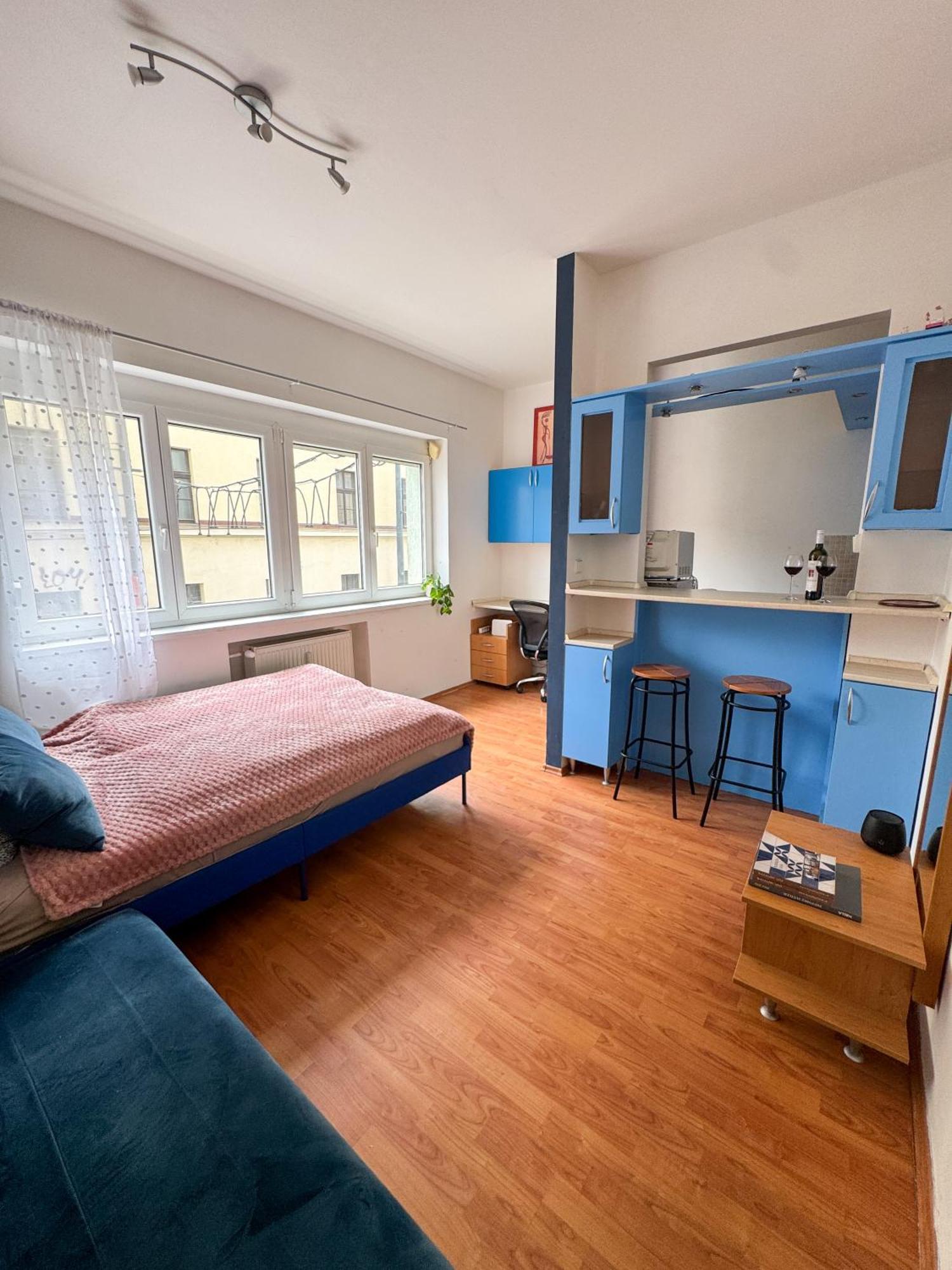 Old Town Cozy Studio In City Center Братислава Екстер'єр фото